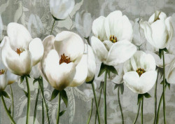 Fototapet, Un câmp cu flori albe