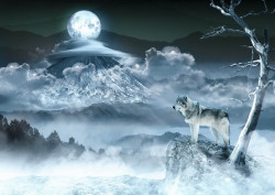 Fototapet, Un lup și luna plină