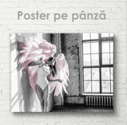 Poster, Aripile roz 1