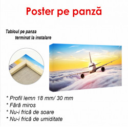 Poster, Avionul în nori