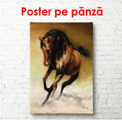 Poster, Cal maro în galop