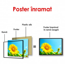 Poster, Câmpul de floarea-soarelui