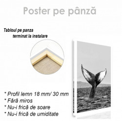 Poster, Coada balenei