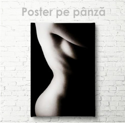 Poster, Corpul feminin