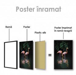 Poster, Flamingo în jungla întunecată