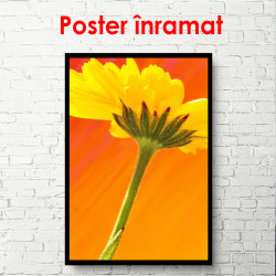 Poster, Floarea galbenă