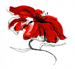 Poster, Floarea roșie