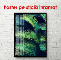 Poster, Frunze de palmier pe un fundal întunecat