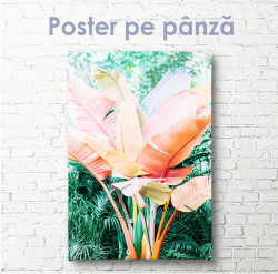 Poster, Frunze de palmier roz