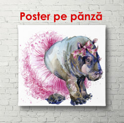 Poster, Hipopotam într-o fustă roz