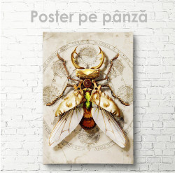 Poster, Insectă glamour