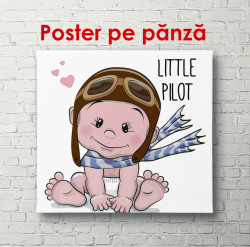 Poster, Micul pilot