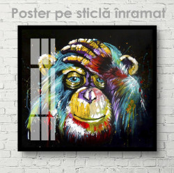 Poster, O maimuță