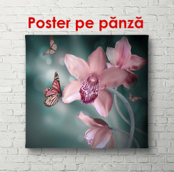 Poster, Orhideea roz delicate cu un fluture pe fond întunecat