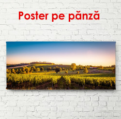 Poster, Peisaj cu un câmp frumos