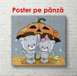 Poster, Pisici drăguțe pe stradă în ploaie