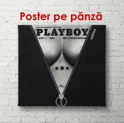 Poster, Playboy