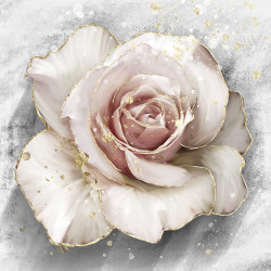 Poster, Trandafir delicat cu margini aurii