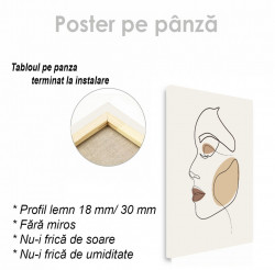 Poster, Trasaturile faciale