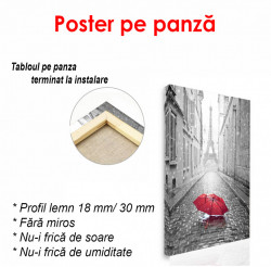 Poster, Umbrela roșie în alb-negru Paris