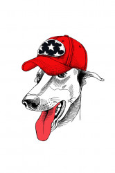 Poster, Un câine alb cu o șapcă roșie