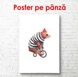Poster, Ursuleț pe bicicletă