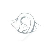 EAR LOOP