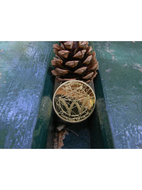 Moneda Suvenir WebDollar, diametru 40 mm, Aurie - Fara cutie