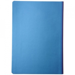 Notebook Softcover, liniat dictando, B6, 174x124mm, 80 file, Cameleon, Albastru