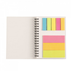 Notebook Memo Neutral cu 50 pagini albe si 200 notite adezive, format A6, Alb