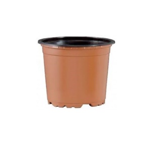 Set 25 bucati, ghivece pentru rasaduri, rotunde, diametru 10 cm, maro