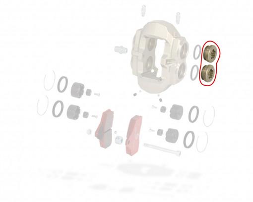 Rear caliper plug KZ BSS