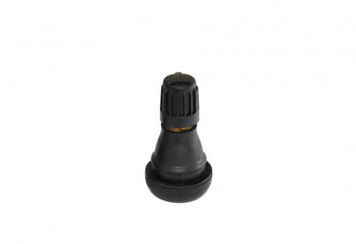 Tubeless wheel's short valve
