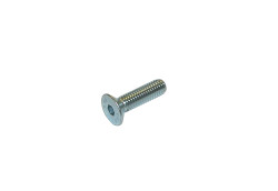TPSCEI screw 8x55 mm