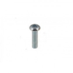 TB screw 5x22 mm