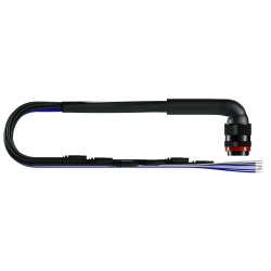 AiM EVO5 22 Pin Deutsch Harness