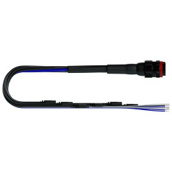AiM 22 Pin Deutsch Harness MXS, MXP, MXG, MXL2
