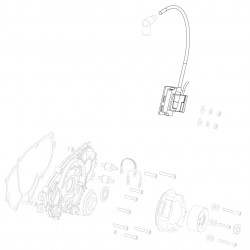 Digital coil n. 500212 GP