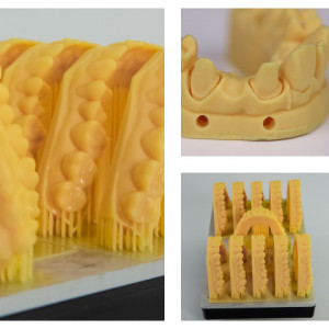 Rășină UNIZ zDental Model