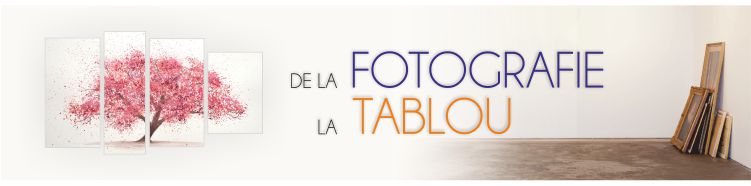 Creazati tablou Canvas