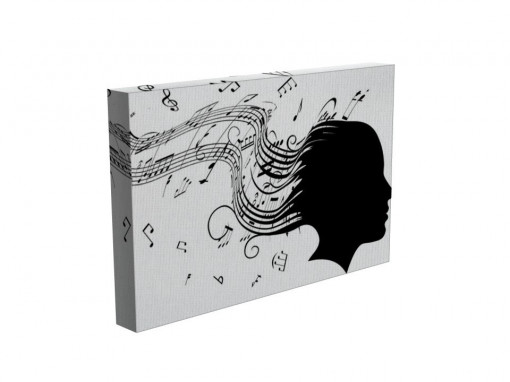 TABLOU MUSIC MAN