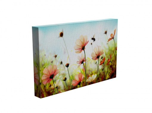 TABLOU FLORET