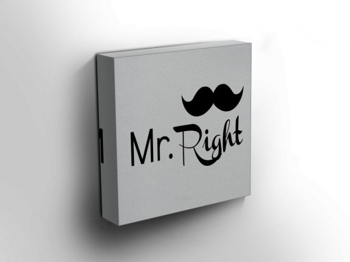 TABLOU MR. RIGHT