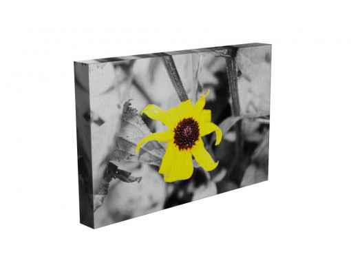 TABLOU YELLOW SPLASH
