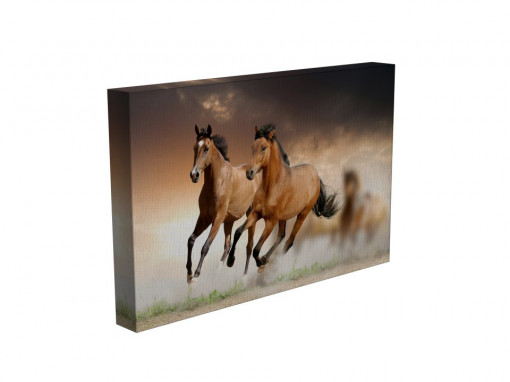 TABLOU FRE HORSES