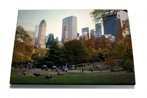 TABLOU CENTRAL PARK