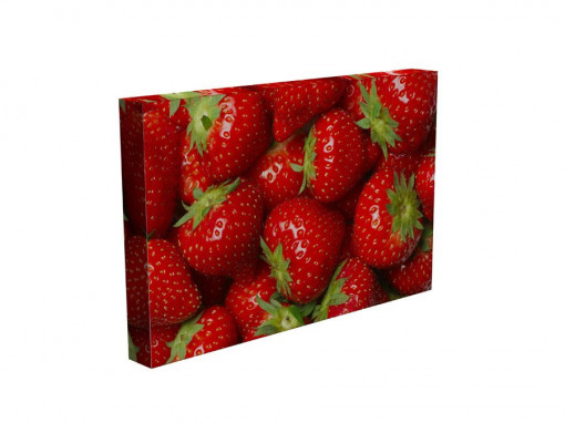 TABLOU ROSE FRAGARIA