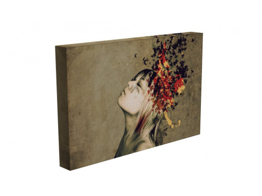 TABLOU BUTTERFLY-GIRL