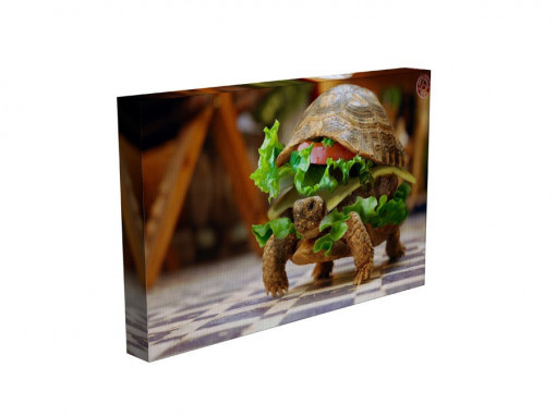 TABLOU SANDWICH WITH TURTLE