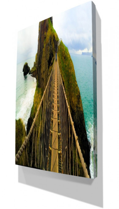 TABLOU DANGEROUS BRIDGE